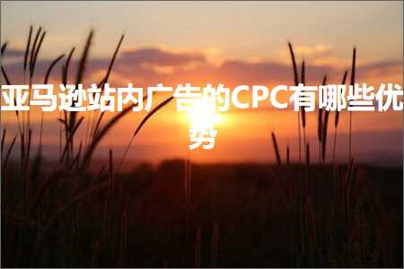 璺ㄥ鐢靛晢鐭ヨ瘑:浜氶┈閫婄珯鍐呭箍鍛婄殑CPC鏈夊摢浜涗紭鍔? width=